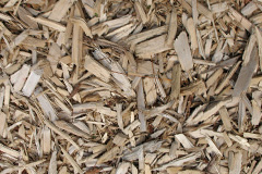 biomass boilers Penllergaer